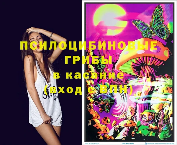 МДПВ Белокуриха