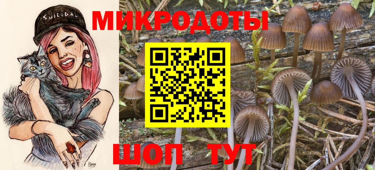 Нефтекумск  где можно купить   Вход с VPN  Псилоцибиновые грибы Cubensis 