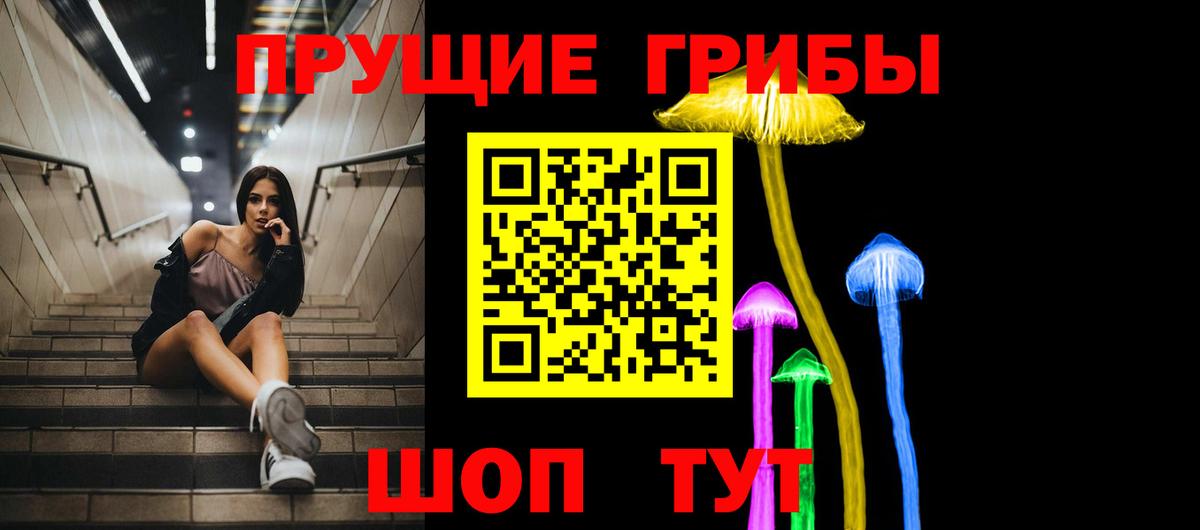 Псилоцибиновые грибы Cubensis Нефтекумск